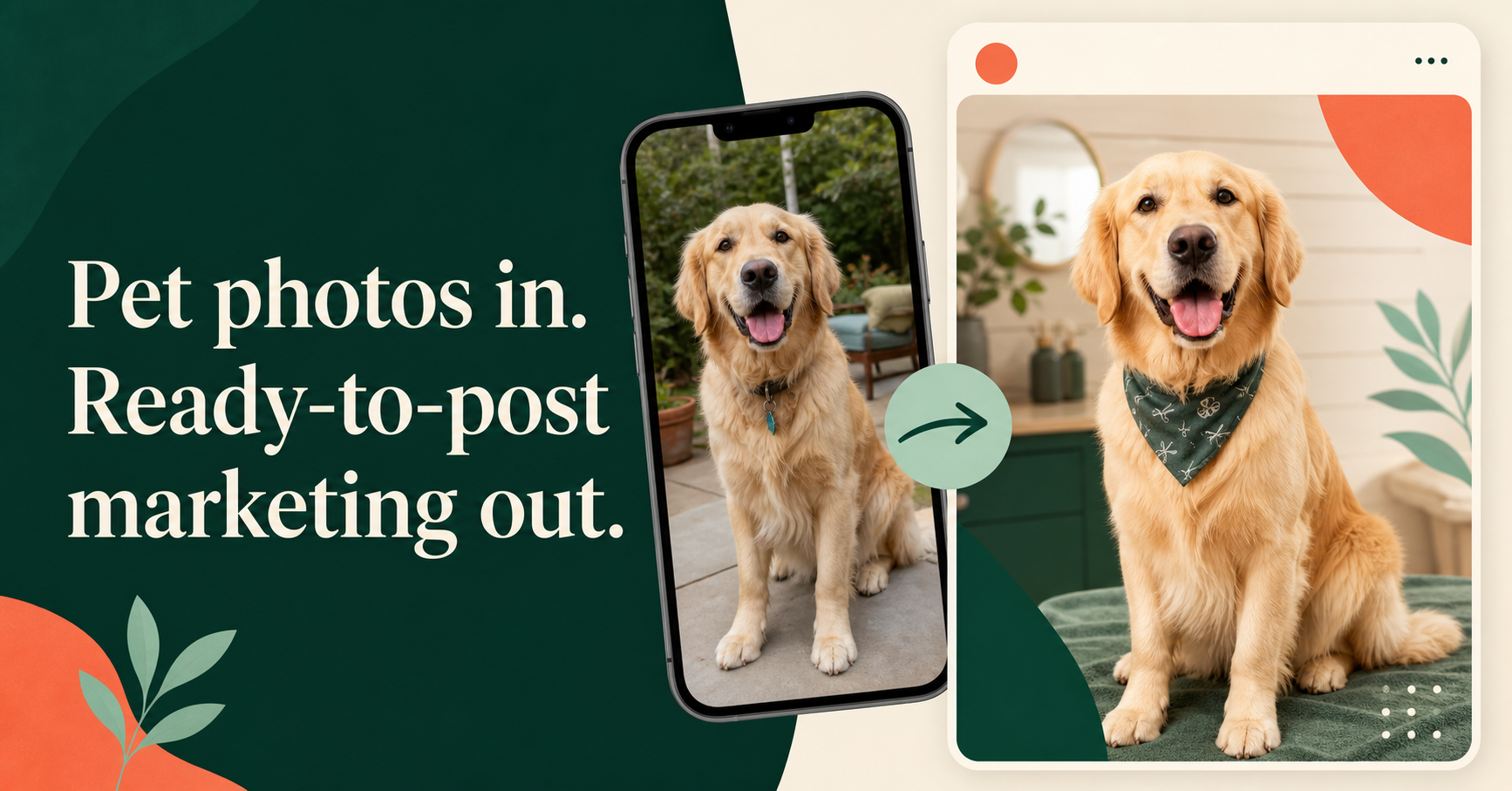 A pet photo transformed into polished marketing